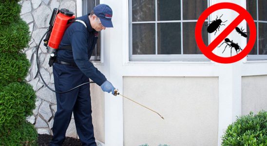 Selendi Karınca İlaçlama böcek ilaçlama ve haşere kontrolü — ilaclama-tr.com